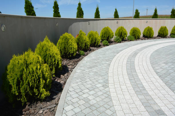 Best Best Driveway Pavers  in Riverdale Park, CA